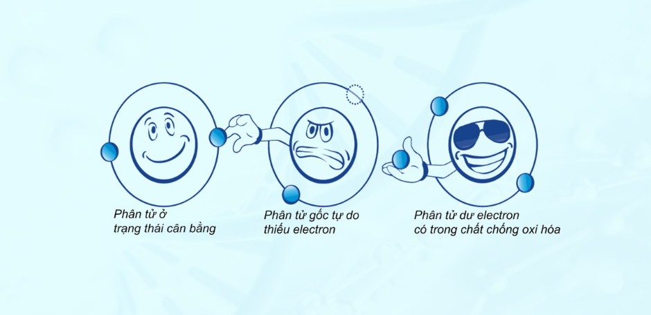 Alka Gluta chứa các thành phần hỗ trợ trung hoà gốc tự do gây hại