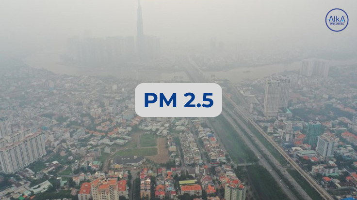 Bụi mịn PM2.5 gây ra nhiều tác hại cho hệ hô hấp và các cơ quan khác