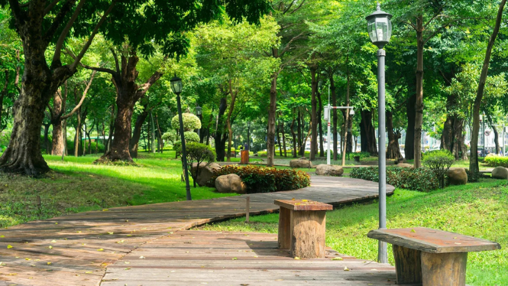 Công viên nhiều cây xanh tốt cho hệ hô hấp