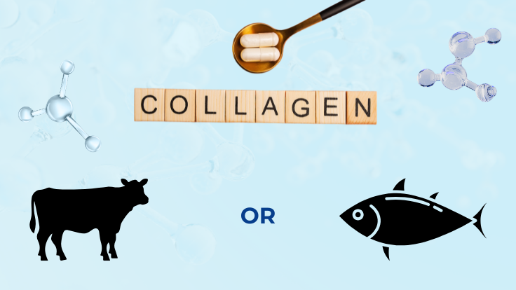 Collagen chiết xuất từ cá giúp đẹp da, chống lão hóa tối ưu